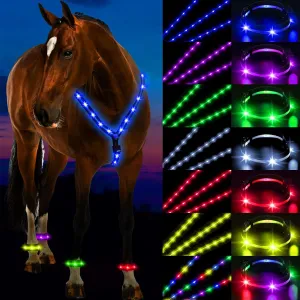 5 Pcs 7 Colors LED Horse Breastplate and Leg Band Set USB Rechargeable Light up Adjustable Safety Gear LED Horse Harness Tack Add Visibility Safety for Night Riding