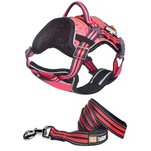 Adjustable Dog Chest Harness Felina