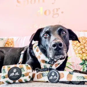 Adjustable Dog Harness | Pineapple