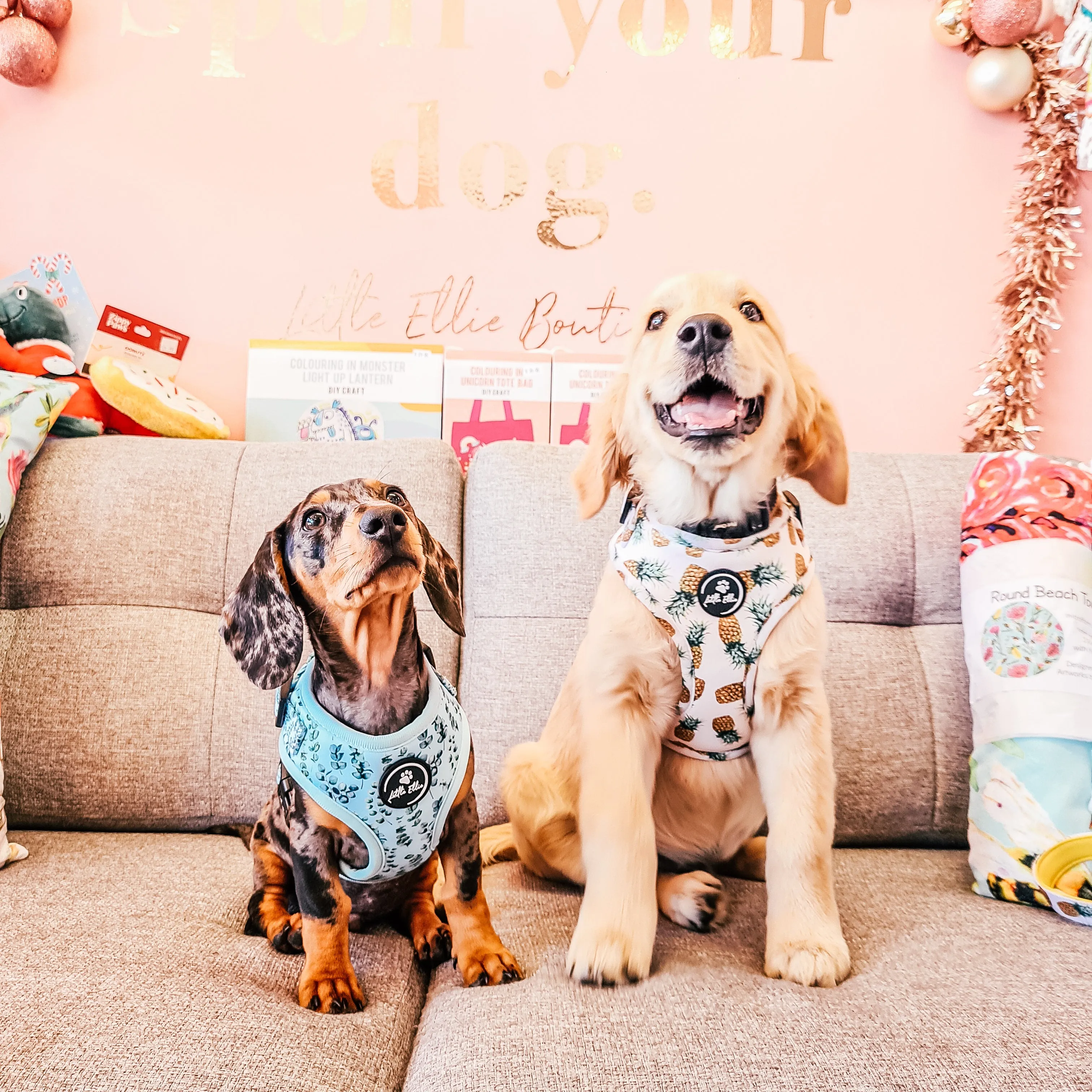 Adjustable Dog Harness | Pineapple