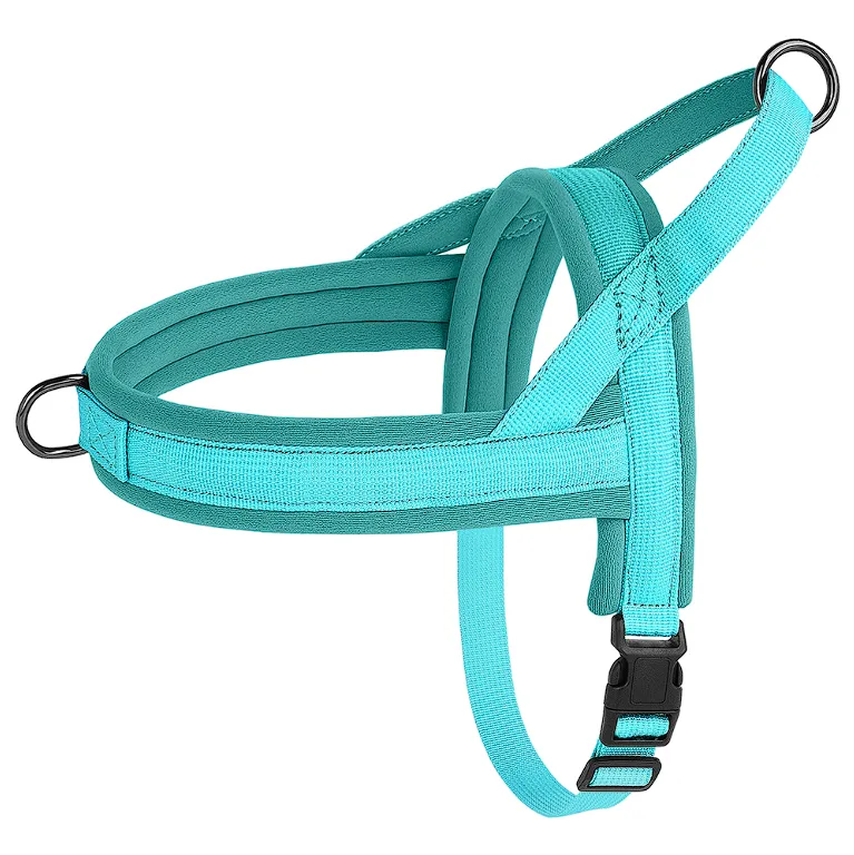 Adjustable French Bulldog Harness