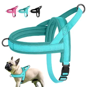 Adjustable French Bulldog Harness