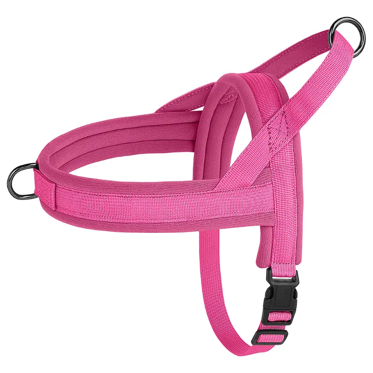 Adjustable French Bulldog Harness
