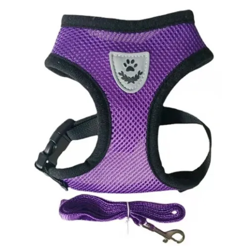 Adjustable Mesh Dog Harness with Leash