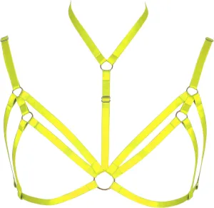 Adjustable Plus Size Punk Gothic Clothing Carnival Party Body Harness Bra Women Caged Bralette