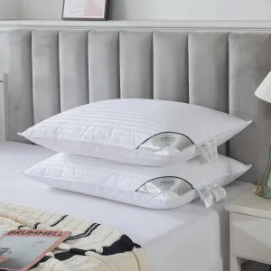 ANALIN® Goose Feather Down Pillows Queen Size Set of 2, Soft Fluffy Luxury Hotel Collection Pillow, 100% Cotton Shell, Medium Firm Bed Pillow for Back, Stomach or Side Sleeper.（15% Goose Down）