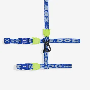 Astro Harness   Leash Set