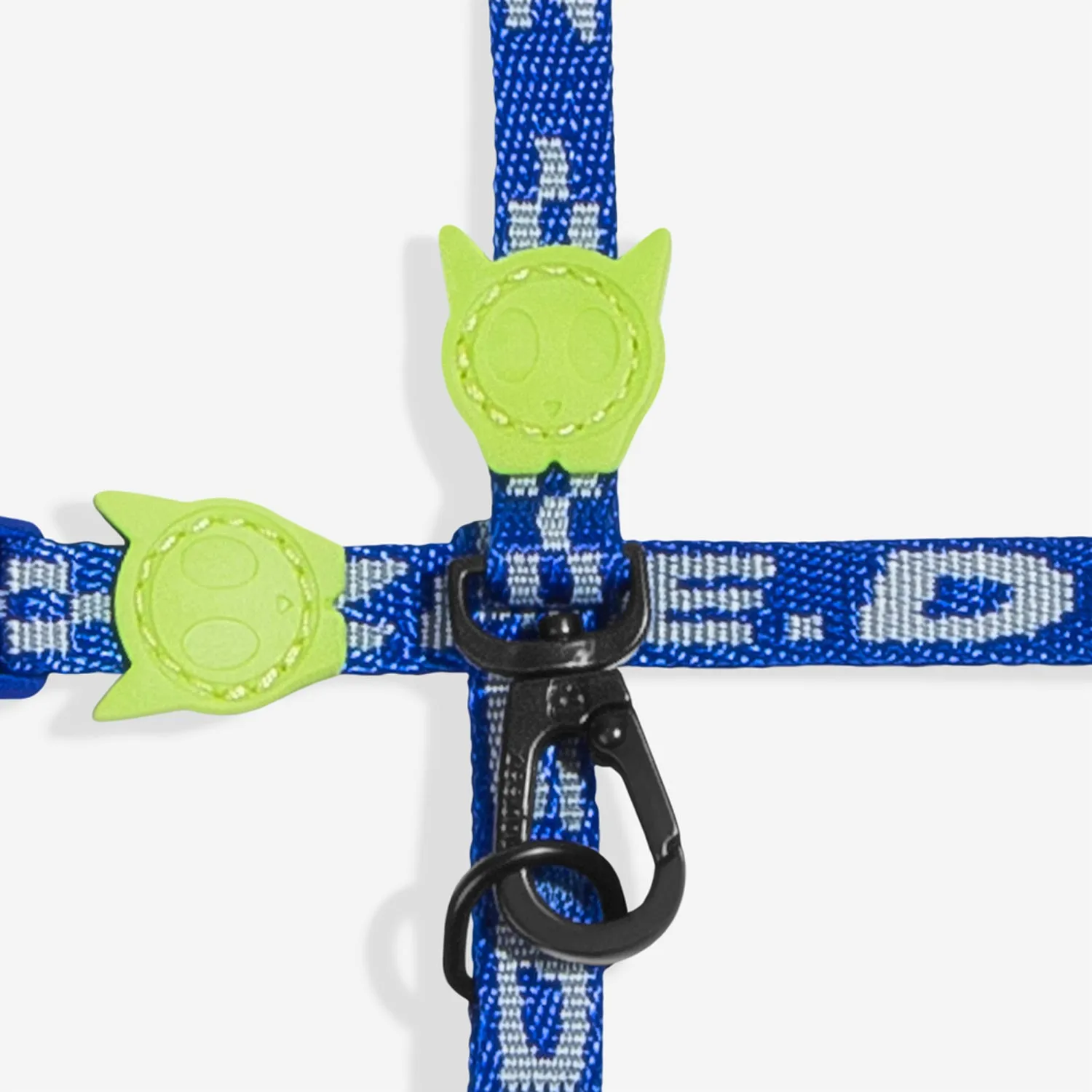 Astro Harness   Leash Set