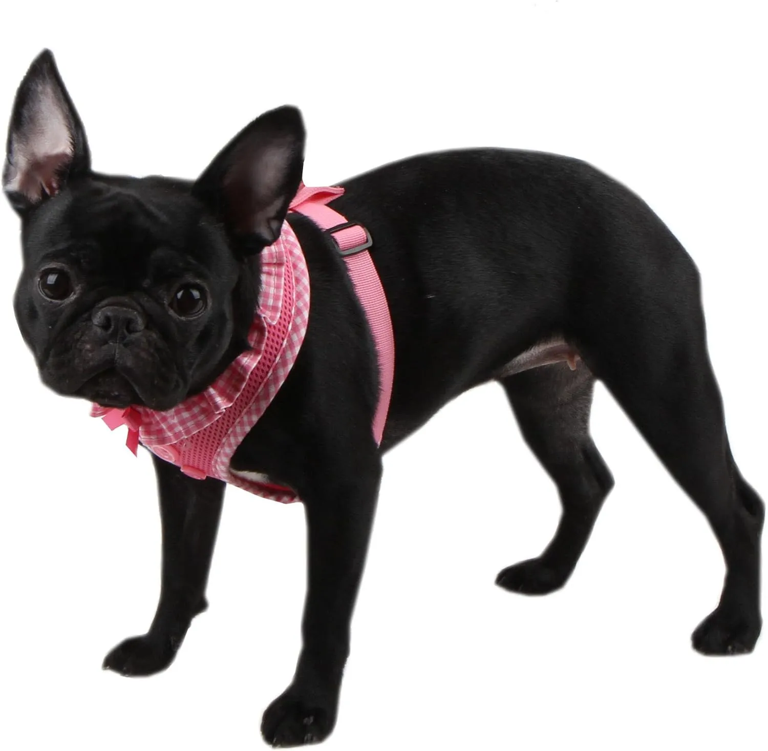 Authentic Puppia Vivien Harness, Pink, Medium