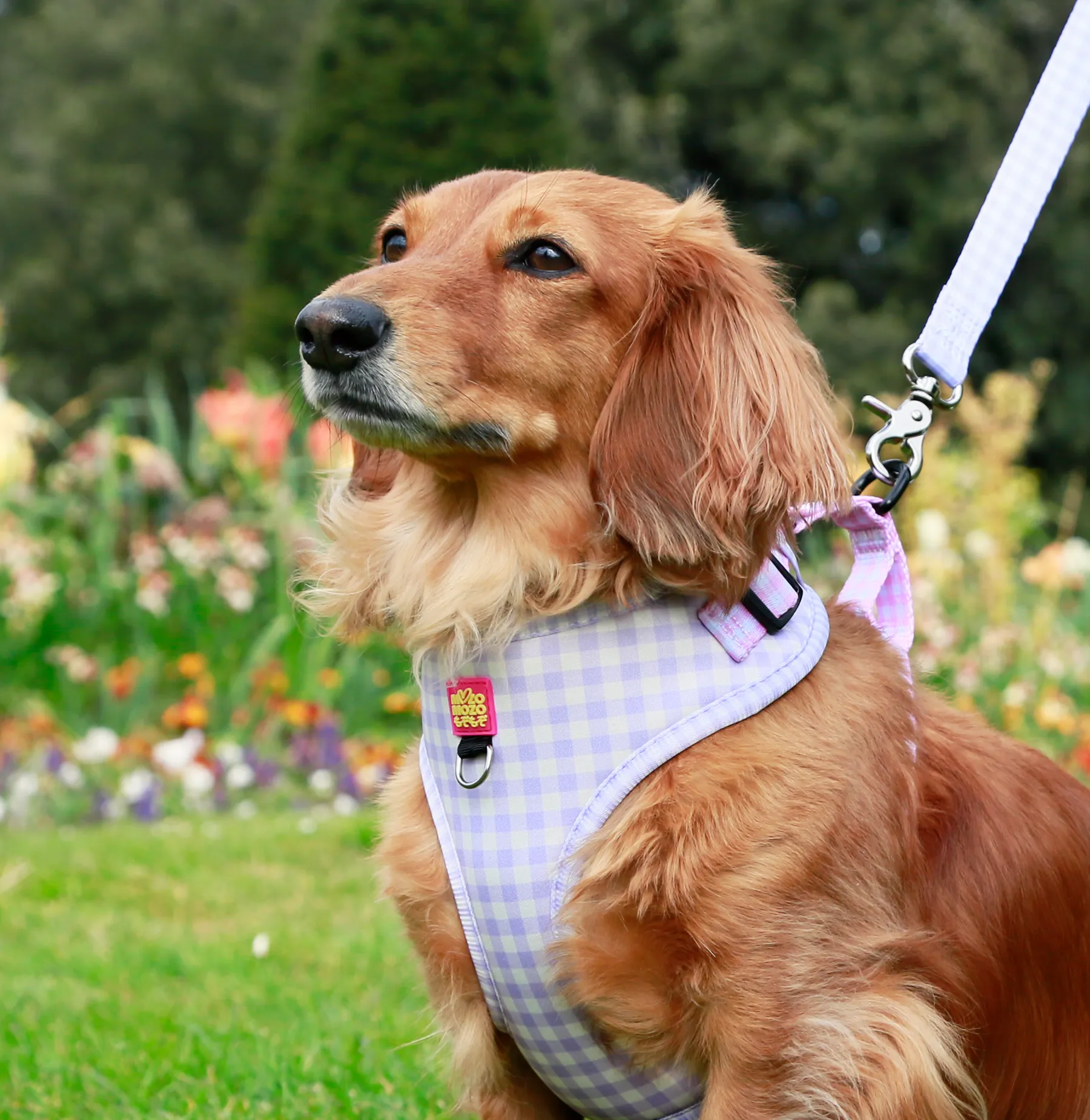 Barby gingham adjustable harness