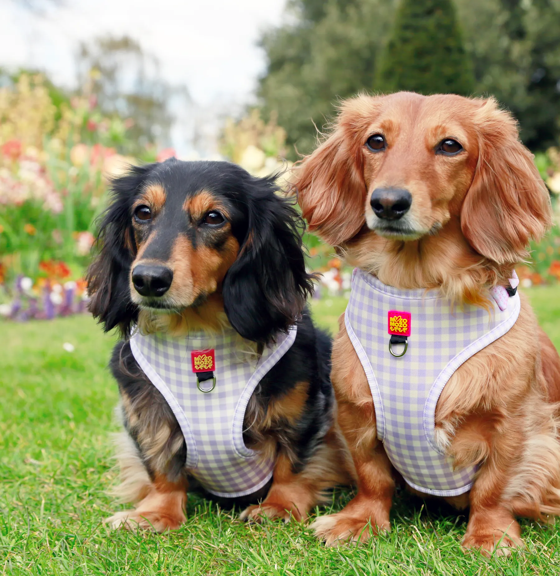 Barby gingham adjustable harness