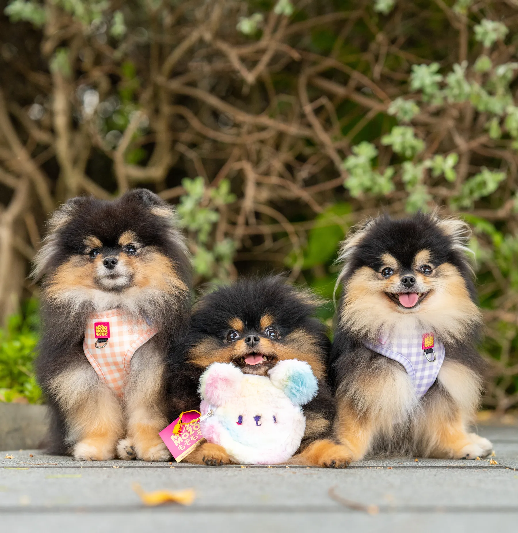 Barby gingham adjustable harness