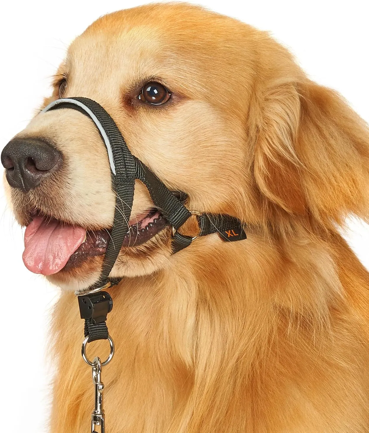 BARKLESS Head Collar for Dogs, No Pull Head Halter for Large Medium Small Dogs, Nose Leash Stops Heavy Pulling, Muzzle Leash with Padded Safety Strap for Walking Training(Black, XL)