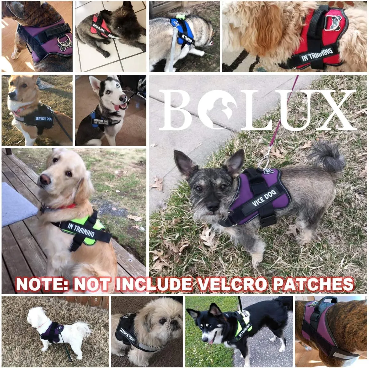 Bolux Dog Harness, No-Pull Reflective Dog Vest, Breathable Adjustable Pet Harness with Handle for Outdoor Walking - No More Pulling, Tugging or Choking (Blue, M)