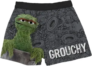 BRIEF INSANITY Sesame Street Comfortable Fit Boxer Shorts | Funny & Cute Sesame Street Graphic Print Boxers for Women & Men
