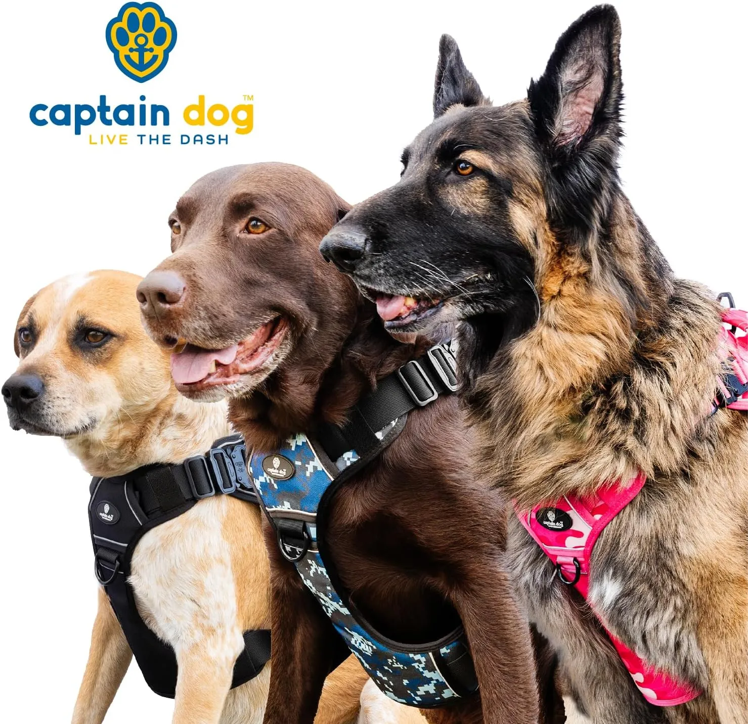 CAPTAIN DOG Harness Medium Sized Dog with 4 Metal Buckles & Double Stitching - Reflective Strong Medium Black, Heavy Duty Dog Vest, Tactical Dog Harness with Poop Bag Holder - Black.