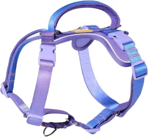 DF Freedom No Pull Martingale Dog Harness, Gentle Control for No Choking, Front Clip Harness with Reflective, 5 Point Adjustable and Safety Support Handle, Rainbow, 1", Chest 22.4" - 30.4"