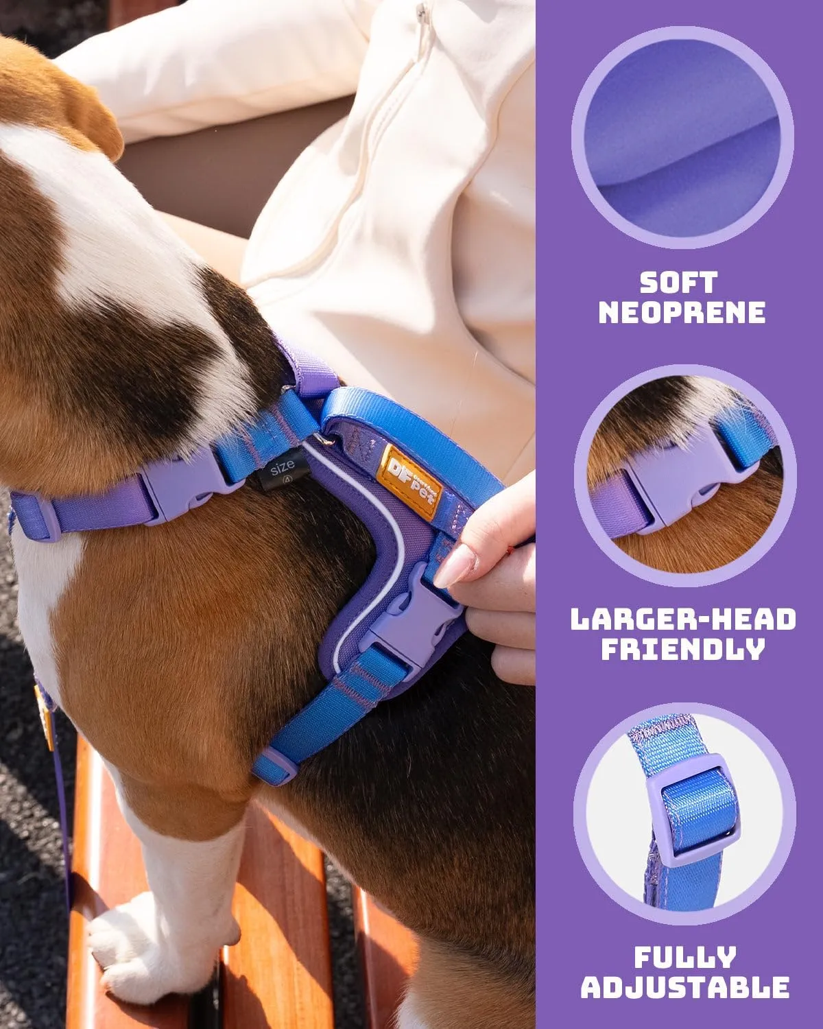 DF Freedom No Pull Martingale Dog Harness, Gentle Control for No Choking, Front Clip Harness with Reflective, 5 Point Adjustable and Safety Support Handle, Rainbow, 1", Chest 22.4" - 30.4"