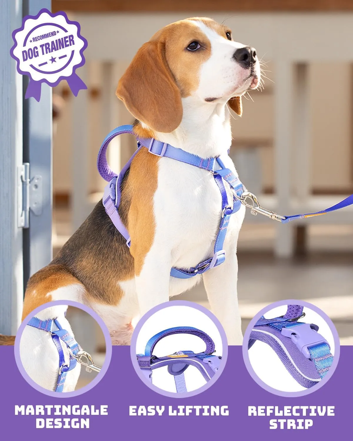 DF Freedom No Pull Martingale Dog Harness, Gentle Control for No Choking, Front Clip Harness with Reflective, 5 Point Adjustable and Safety Support Handle, Rainbow, 1", Chest 22.4" - 30.4"