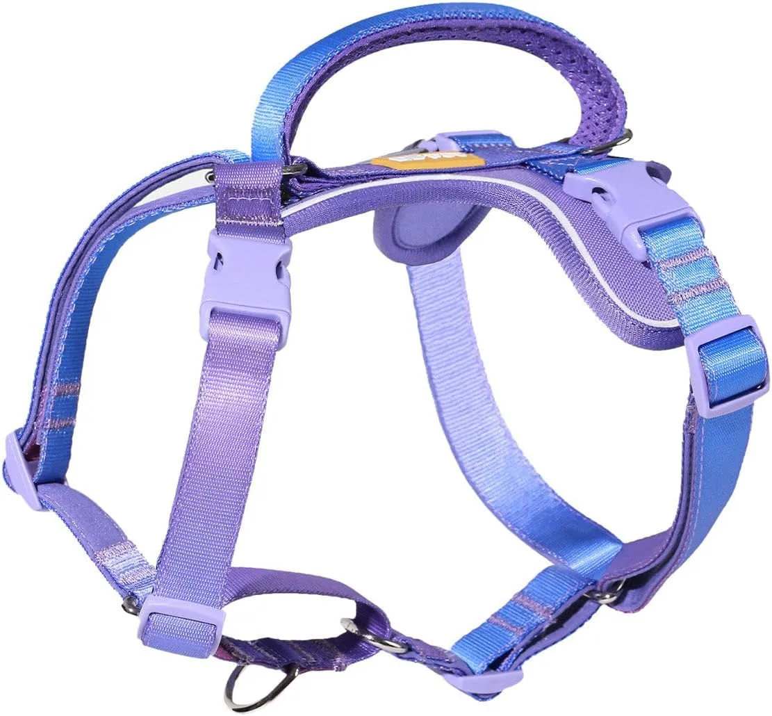 DF Freedom No Pull Martingale Dog Harness, Gentle Control for No Choking, Front Clip Harness with Reflective, 5 Point Adjustable and Safety Support Handle, Rainbow, 1", Chest 22.4" - 30.4"