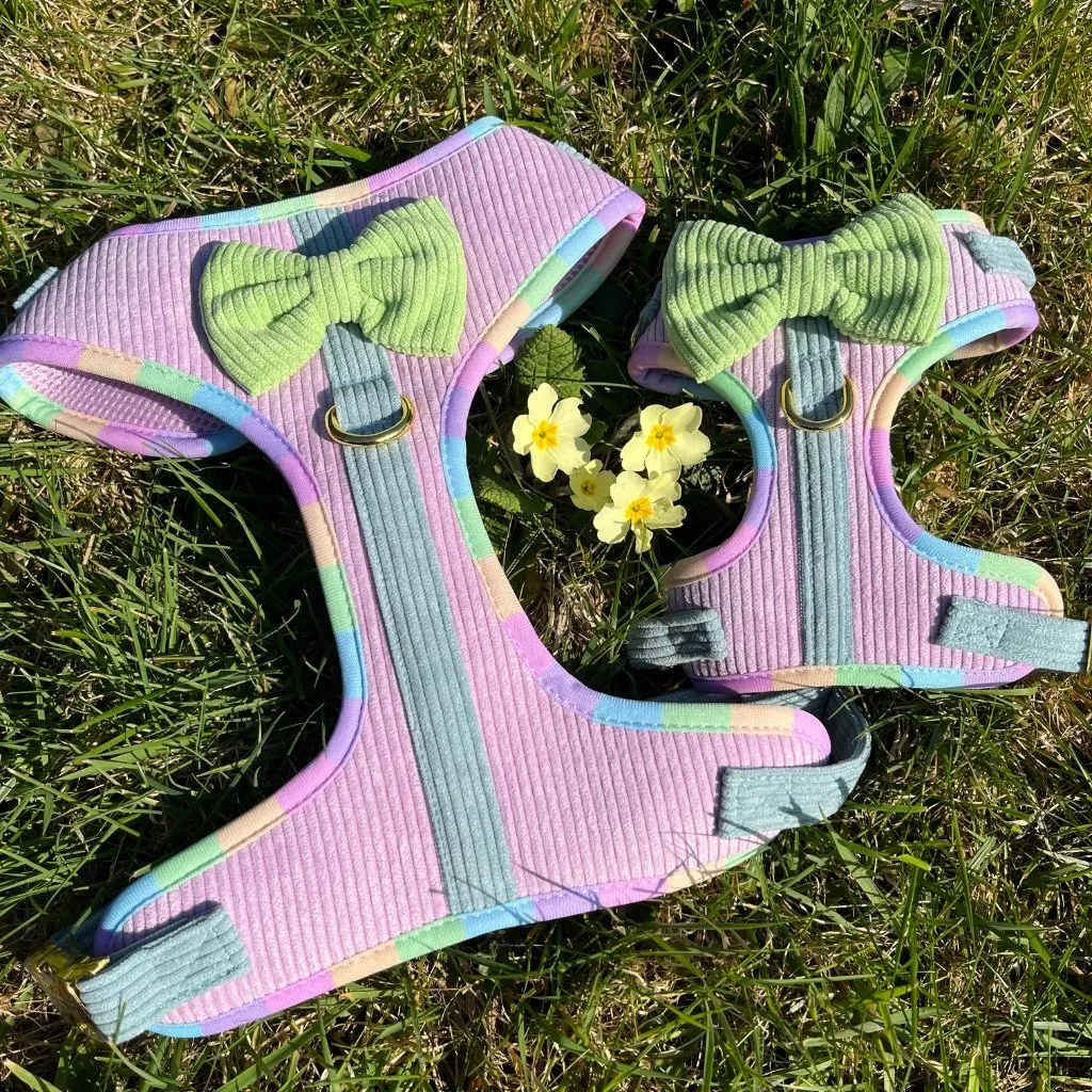 Dog Adjustable Harness - Cotton Candy Corduroy