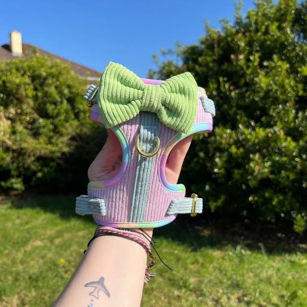 Dog Adjustable Harness - Cotton Candy Corduroy