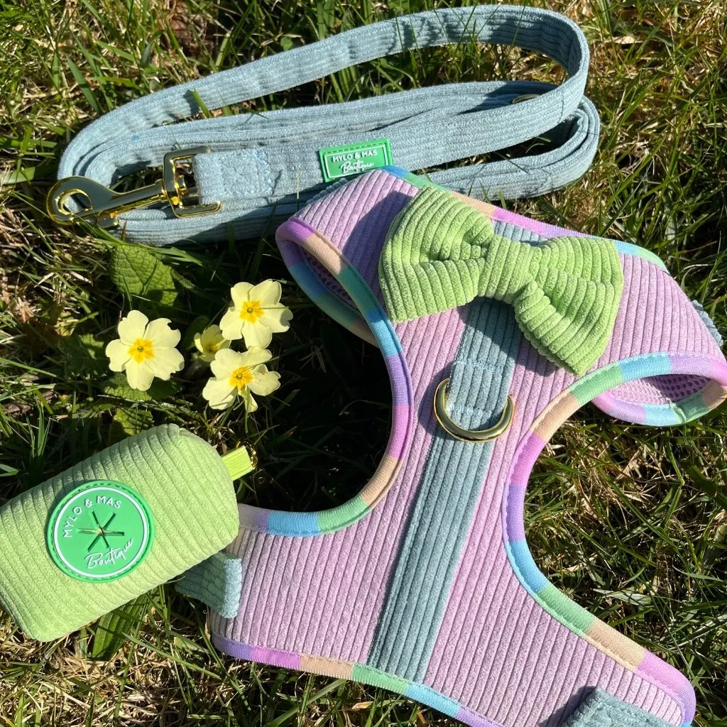 Dog Adjustable Harness - Cotton Candy Corduroy