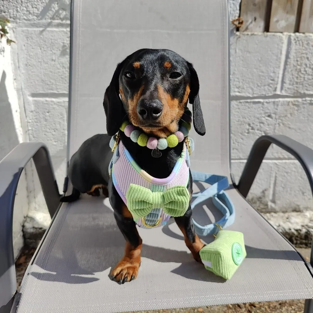 Dog Adjustable Harness - Cotton Candy Corduroy