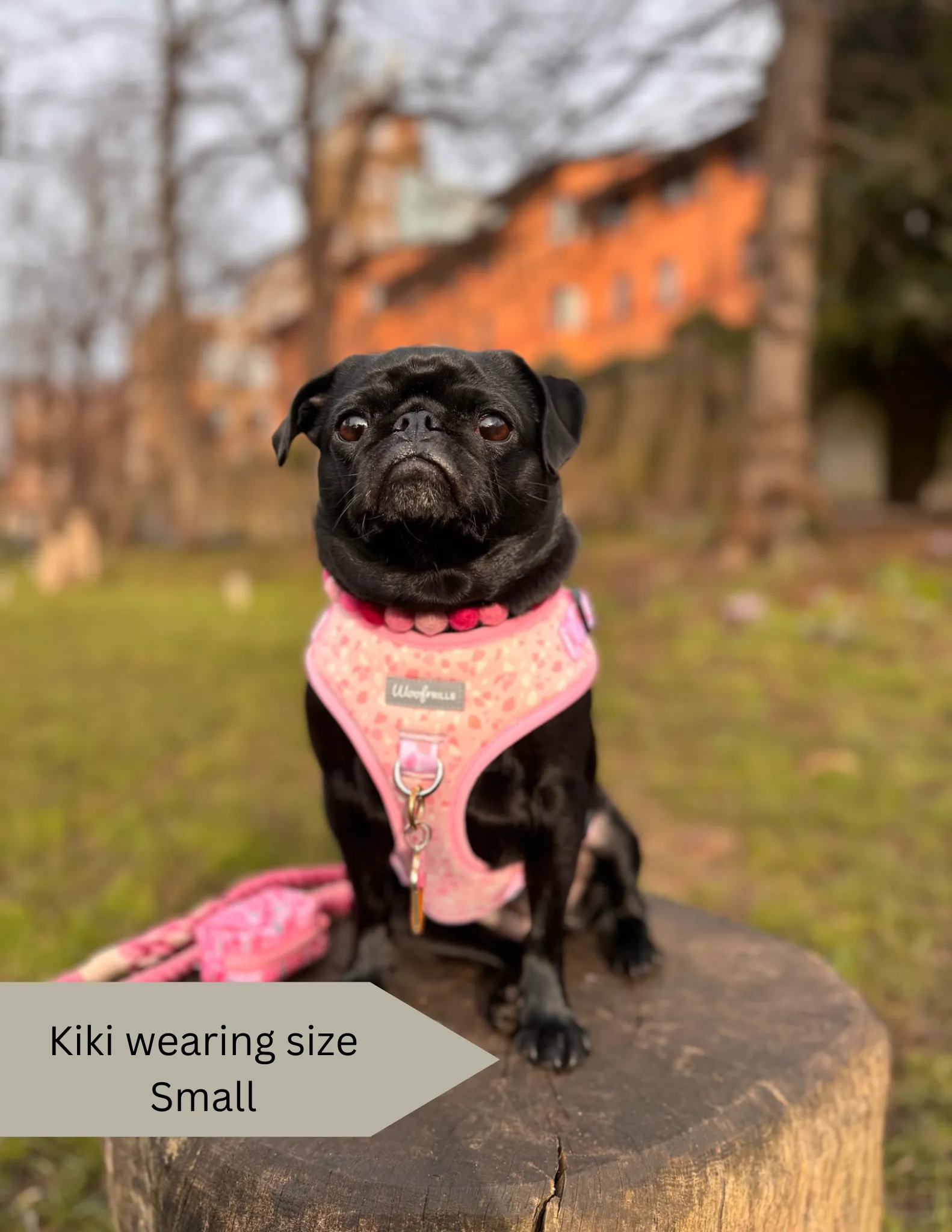 Dog harness, Dog collar and lead set | BUNDLE OF YOUR CHOICE | Blushing with Love