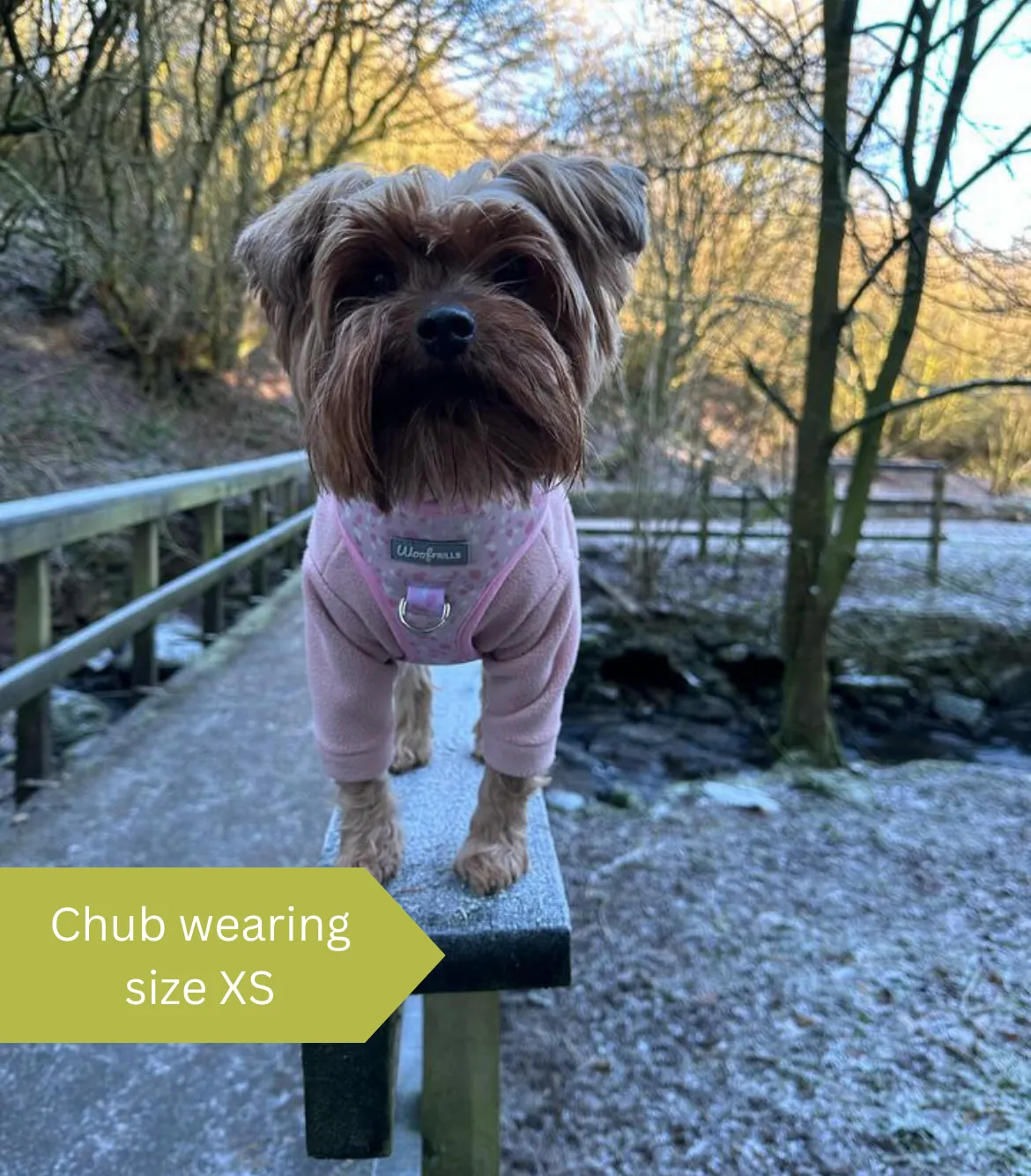 Dog harness, Dog collar and lead set | BUNDLE OF YOUR CHOICE | Blushing with Love