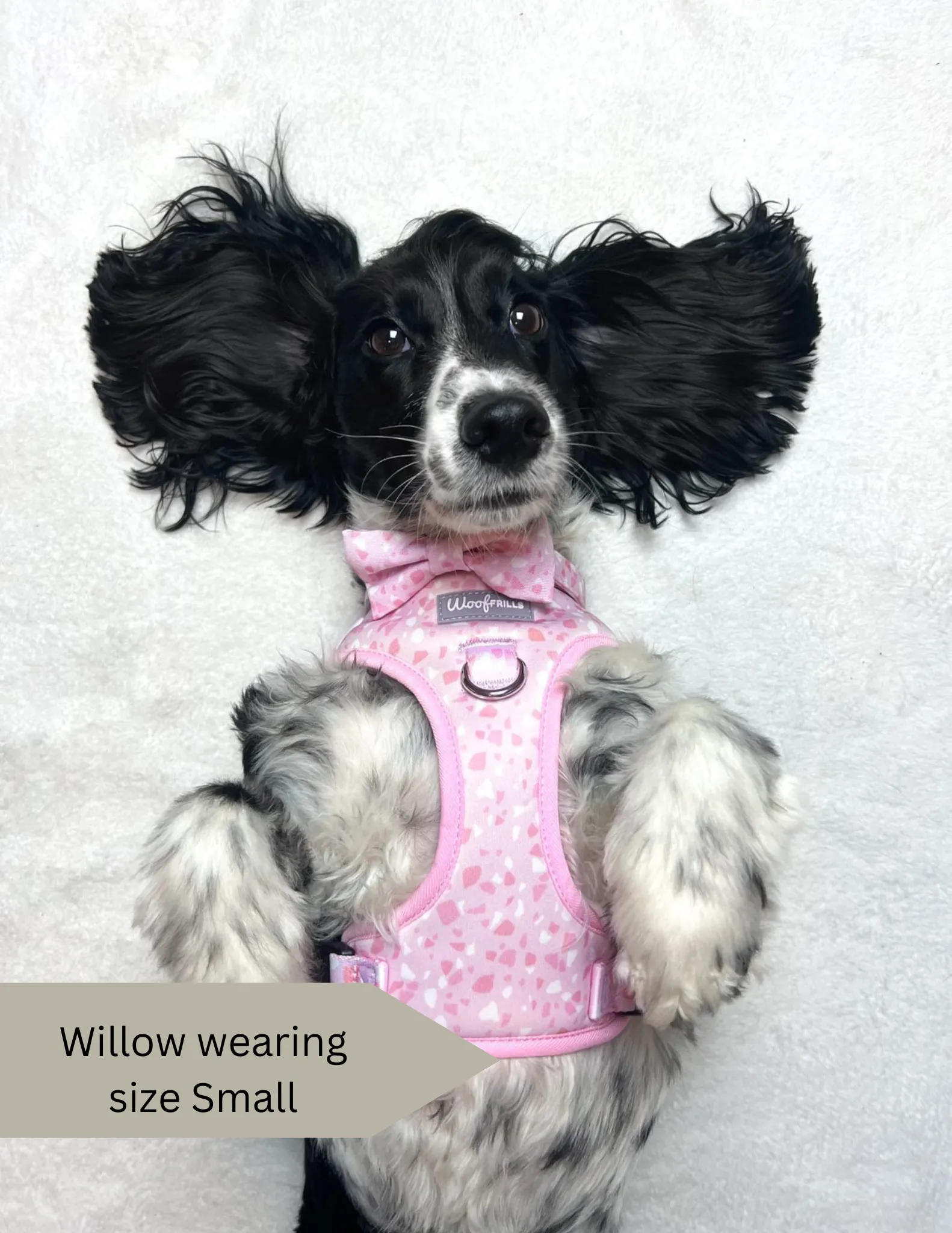 Dog harness, Dog collar and lead set | BUNDLE OF YOUR CHOICE | Blushing with Love