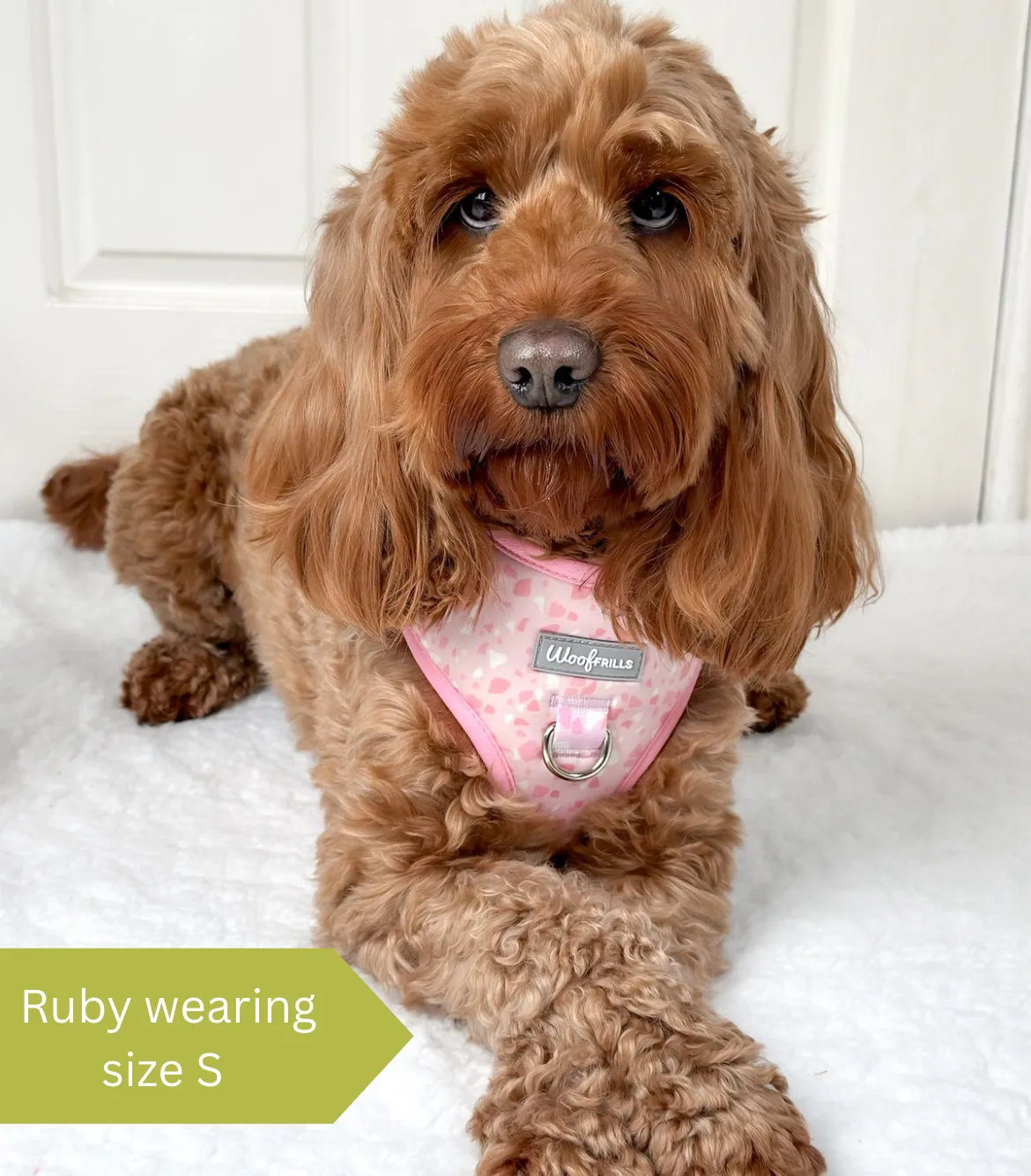 Dog harness, Dog collar and lead set | BUNDLE OF YOUR CHOICE | Blushing with Love