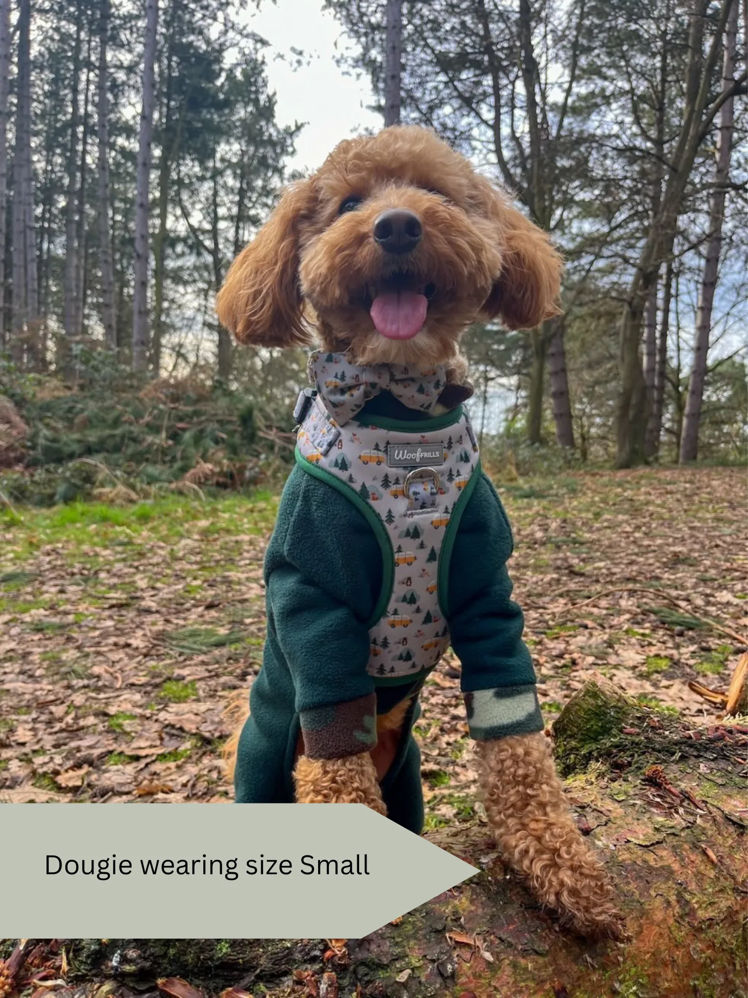 Dog Harness | Hey Ho, Let’s go