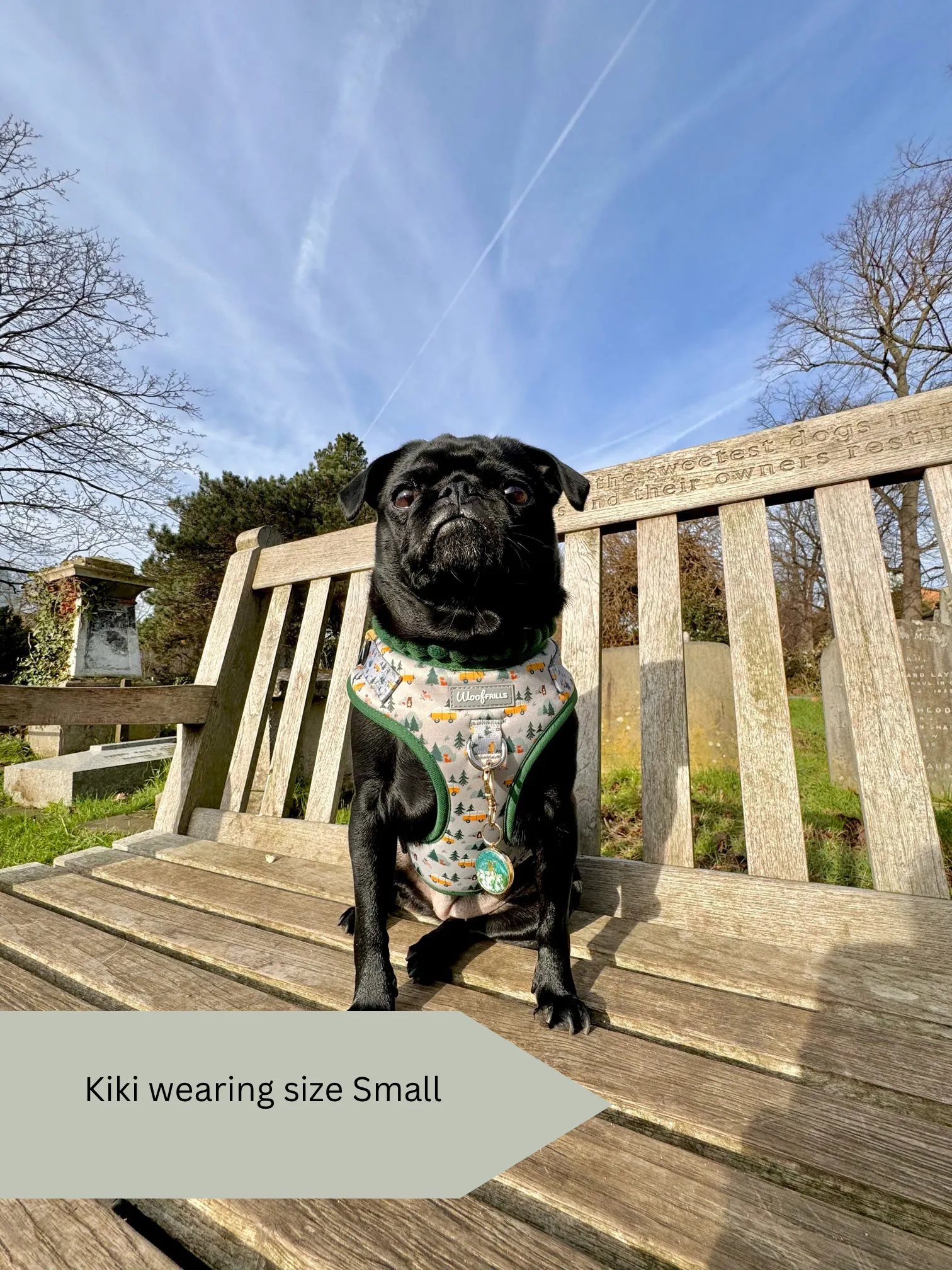 Dog Harness | Hey Ho, Let’s go