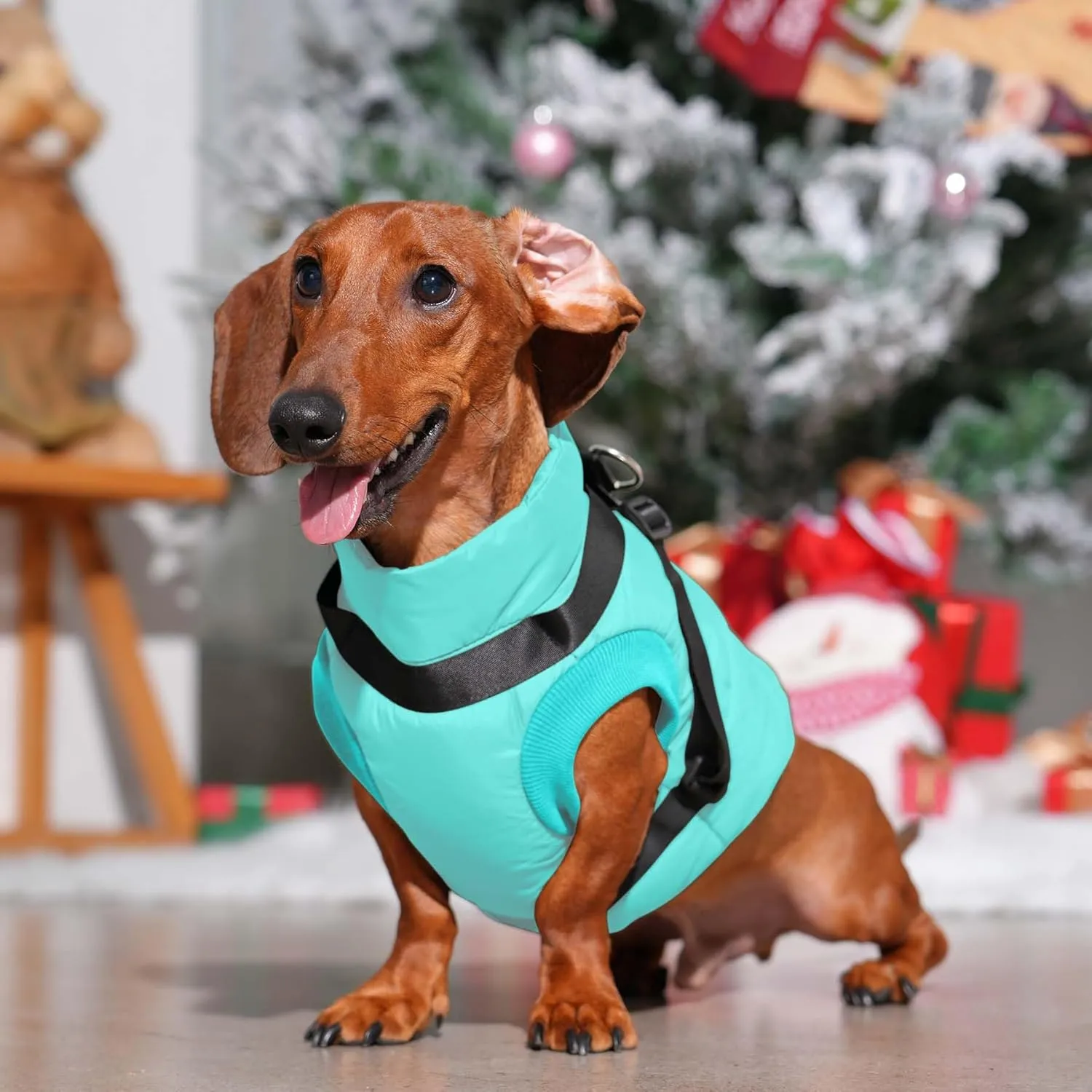 Dog Jacket with Harness,Fleece Lined Warm Puppy Coat for Winter,Soft Windproof Medium Dog Vest,Bluegreen L