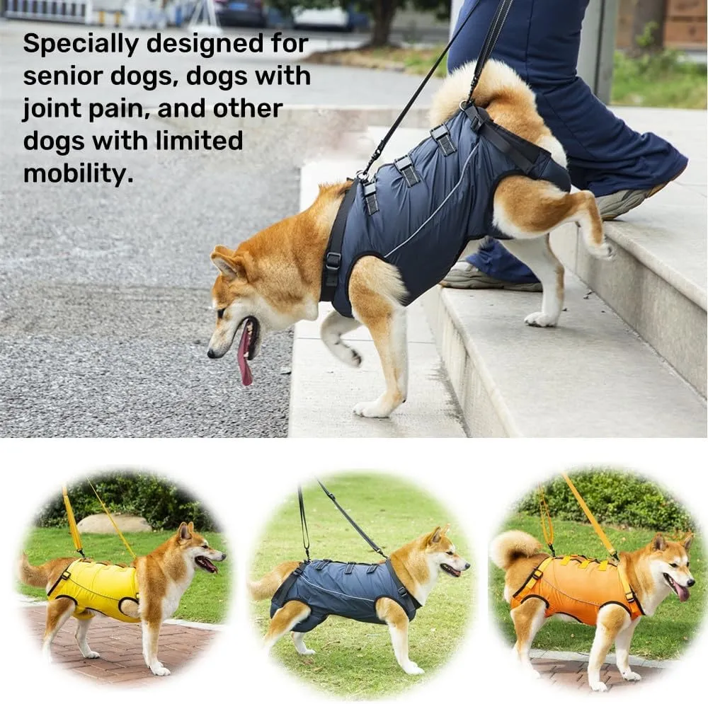 Dog Lift Harness,Dog Assistance Strap,Pet Support & Rehabilitation Sling Lift,Adjustable Padded Breathable Straps for Senior,Joint Injuries,Disabled Dogs Yellow M