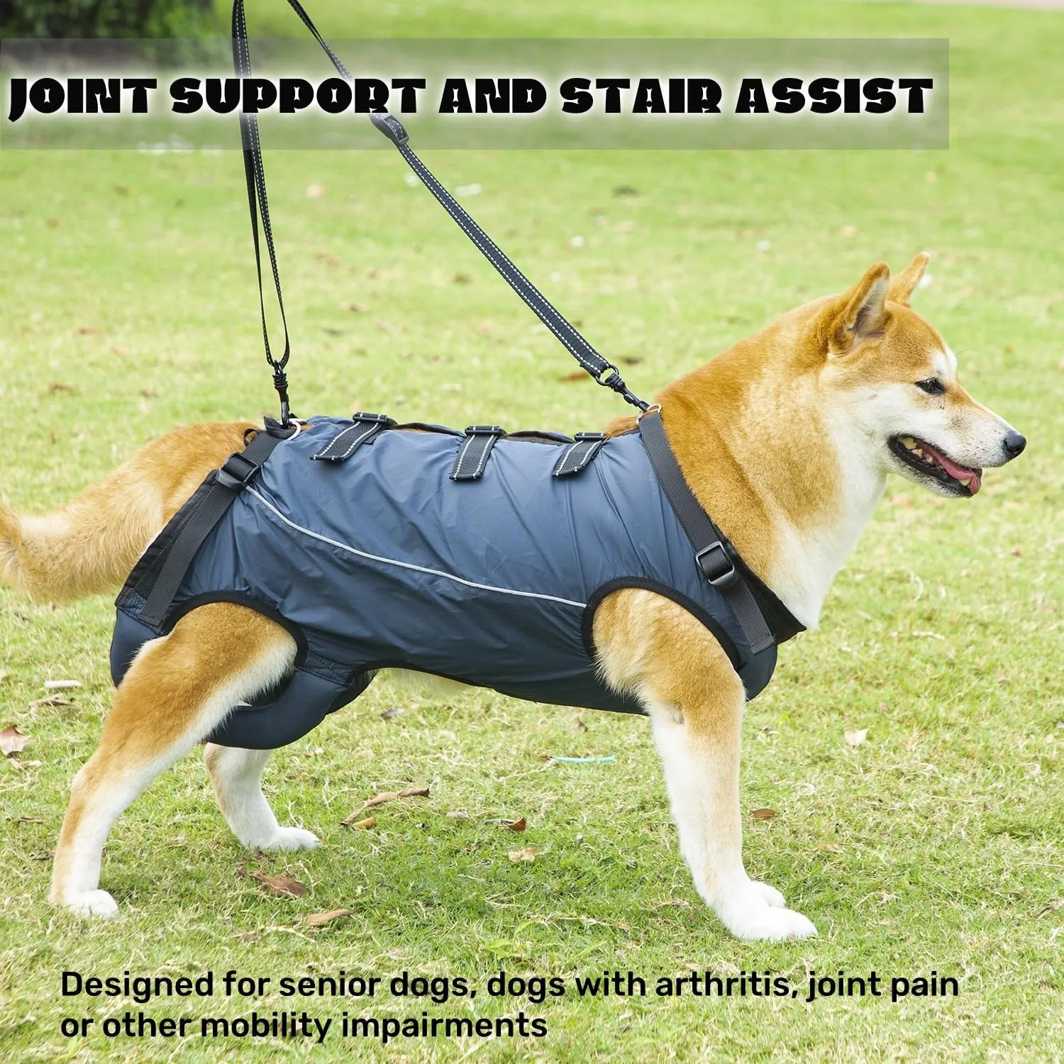 Dog Lift Harness,Dog Assistance Strap,Pet Support & Rehabilitation Sling Lift,Adjustable Padded Breathable Straps for Senior,Joint Injuries,Disabled Dogs Yellow M