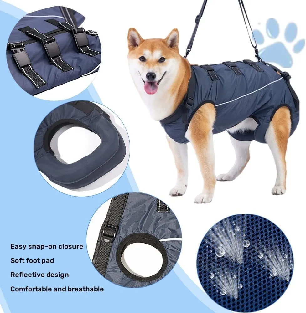 Dog Lift Harness,Dog Assistance Strap,Pet Support & Rehabilitation Sling Lift,Adjustable Padded Breathable Straps for Senior,Joint Injuries,Disabled Dogs Yellow M