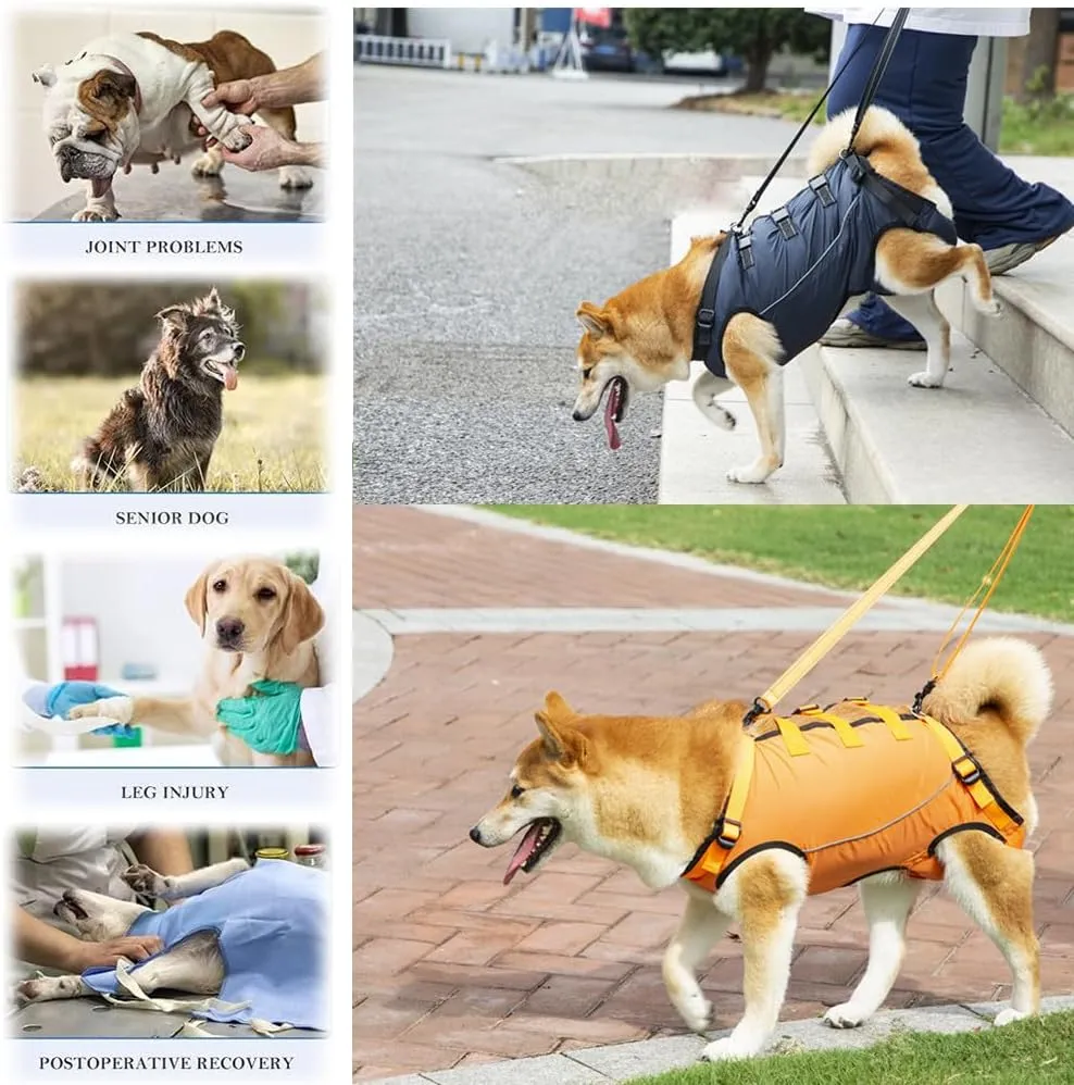 Dog Lift Harness,Dog Assistance Strap,Pet Support & Rehabilitation Sling Lift,Adjustable Padded Breathable Straps for Senior,Joint Injuries,Disabled Dogs Yellow M