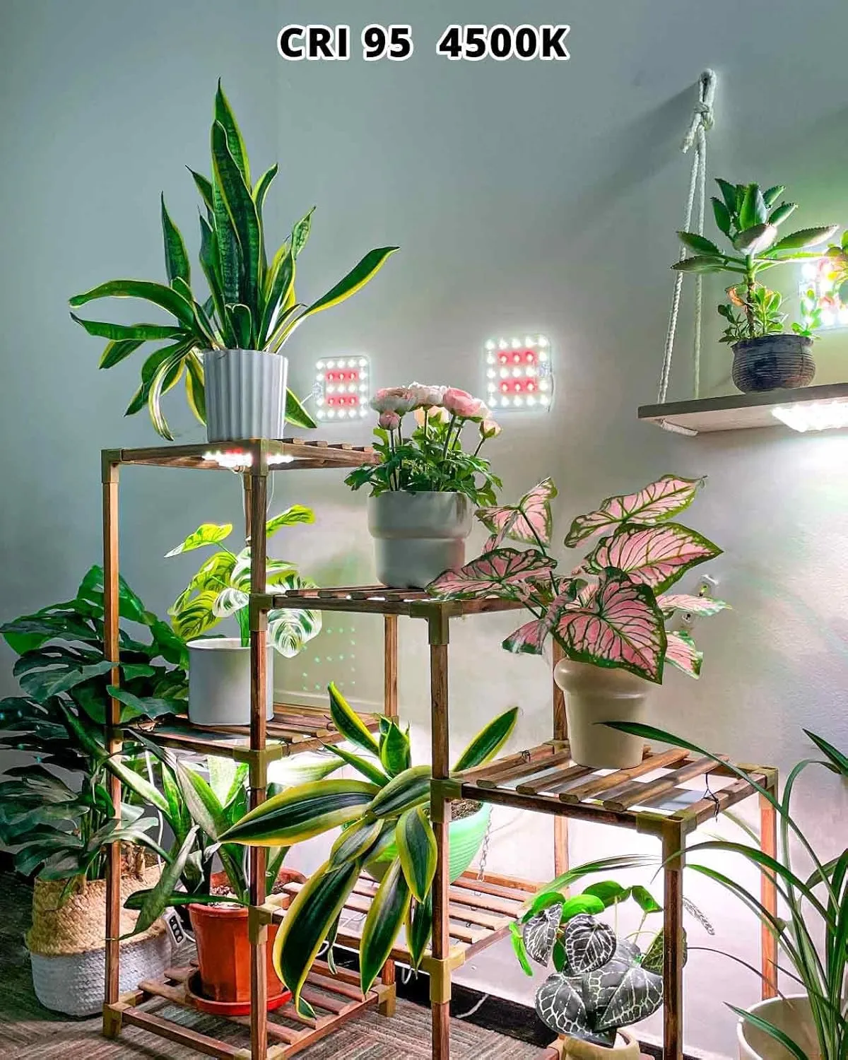 DOMMIA Grow Lights for Indoor Plants, 4500K Coolwhite for Shelves with 6/12/16H Timer, 4 Dimmable Full Spectrum with Optical Lens, USB Plant Lights for Indoor Growing(No Adapters)