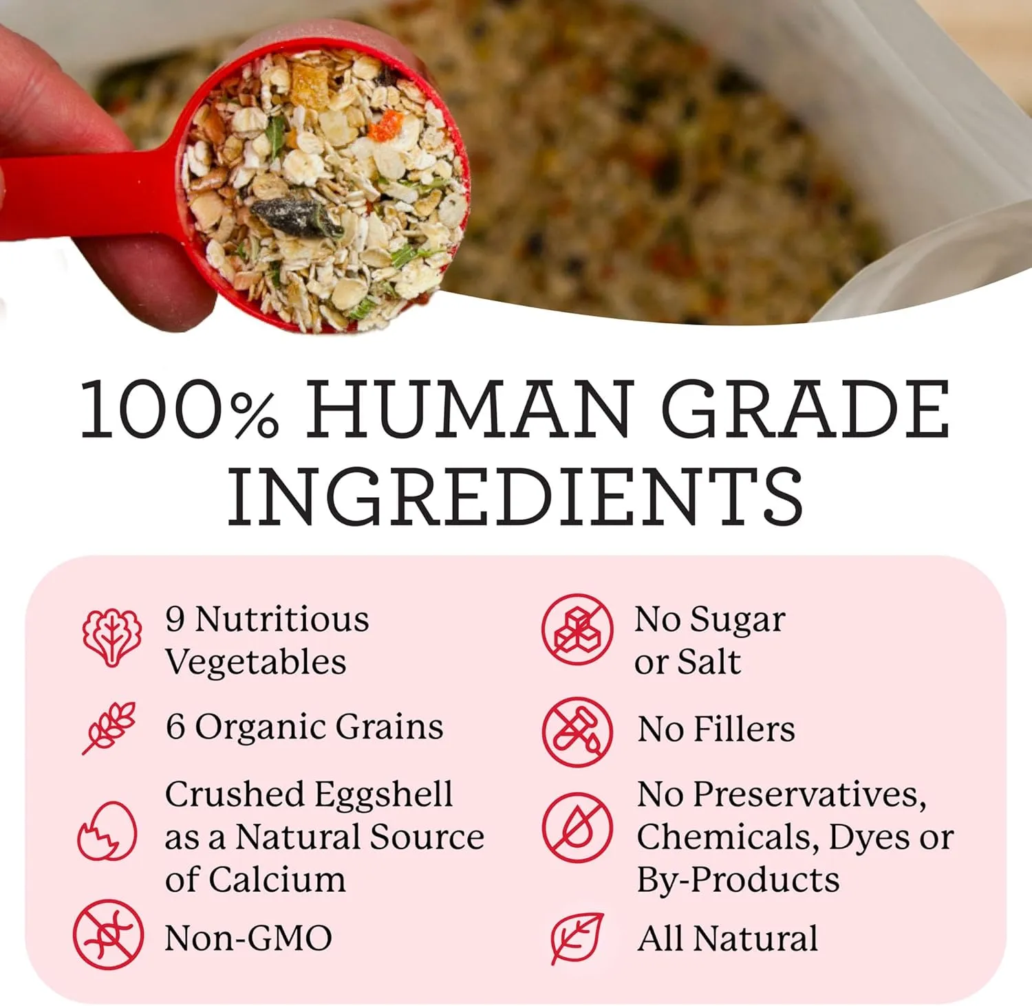 Dr. Harvey's Canine Health Miracle Dog Food, Human Grade Dehydrated Base Mix for Dogs with Organic Whole Grains and Vegetables (5 Pounds)
