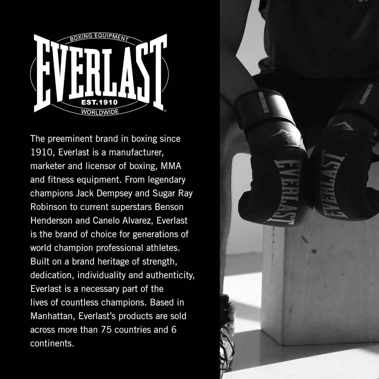 Everlast Powerlock 2 Hook & Loop Boxing Gloves | Fight Training Gloves | Hook and Loop with Durable Hand & Wrist Support | Heavy Bag & Fitness Training