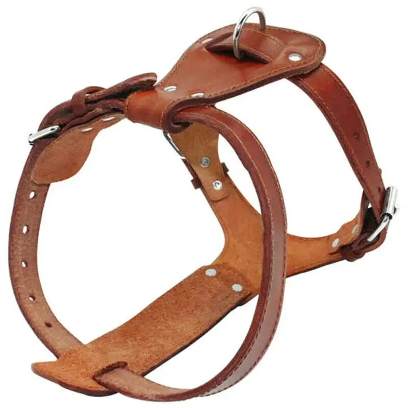 Genuine Leather Dog Harness - Brown Adjustable Training Vest