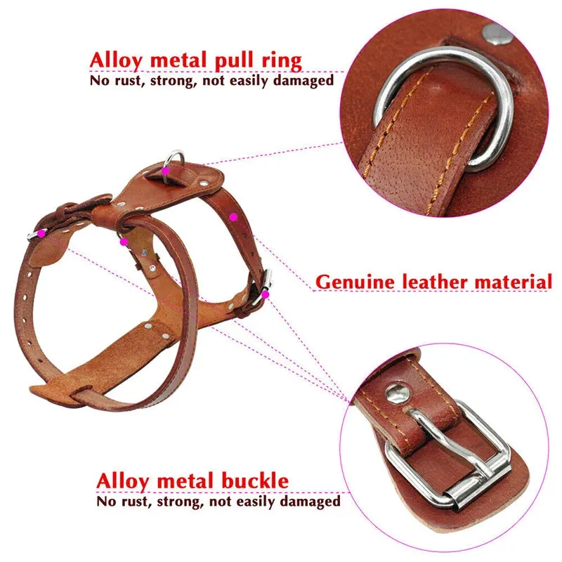 Genuine Leather Dog Harness - Brown Adjustable Training Vest