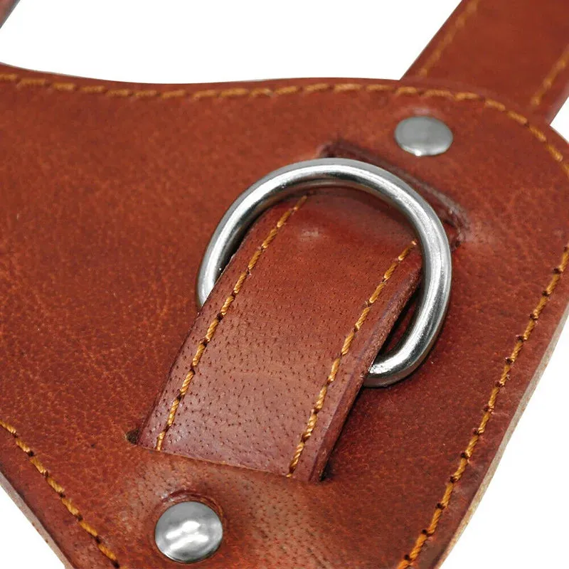 Genuine Leather Dog Harness - Brown Adjustable Training Vest