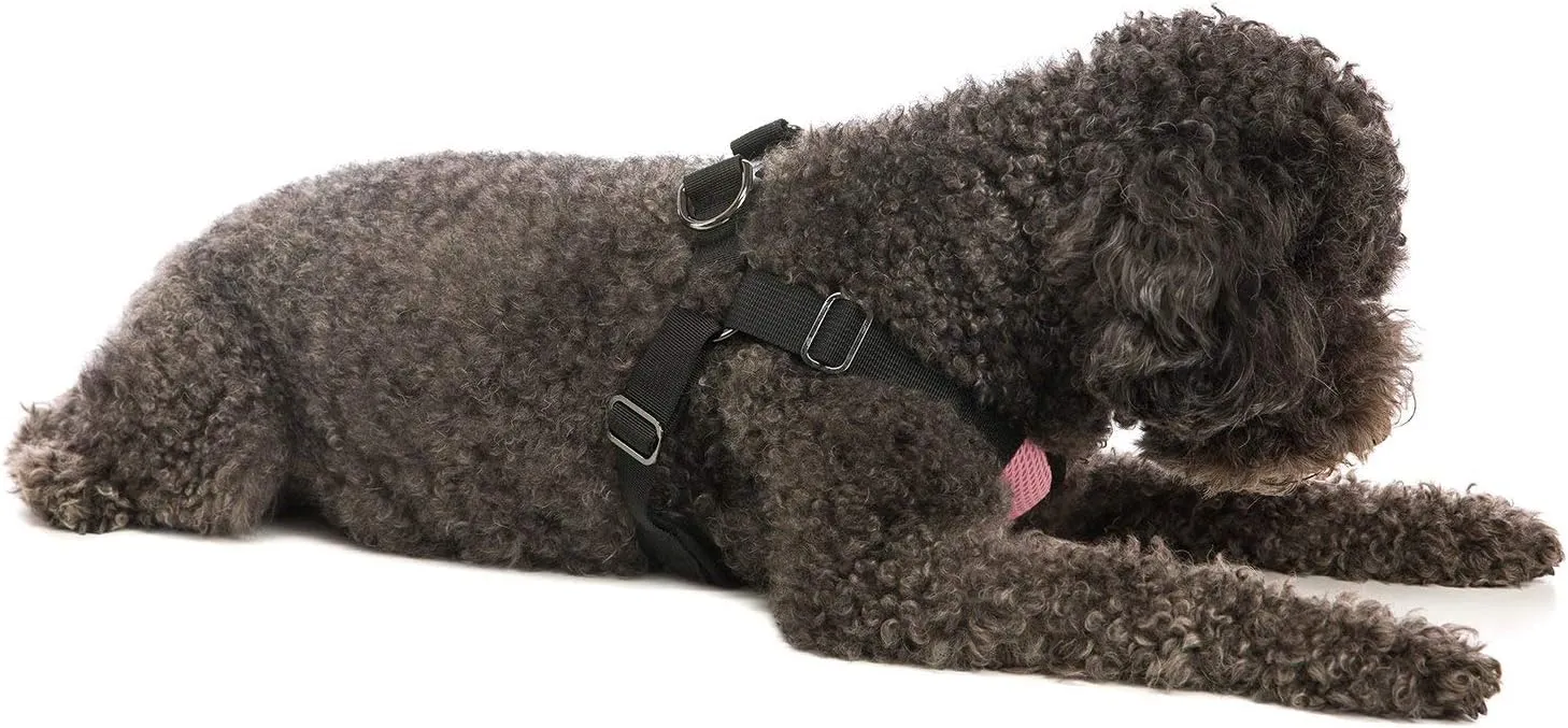 Gooby Comfort X Step in Harness - Pink, Medium - No Pull Small Dog Harness Patented Choke-Free X Frame - Perfect on The Go Dog Harness for Medium Dogs No Pull or Small Dogs for Indoor and Outdoor Use