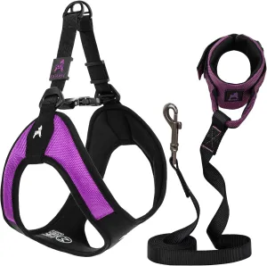 Gooby Escape Free Easy Fit Harness and Easy Fit Wristband Surfer Leash Set-Purple, Large, 6 FT-Step in Escape Free Harness with Quick Release Buckle and Handsfree Leash for Small and Medium Dog
