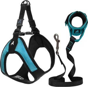 Gooby Escape Free Easy Fit Harness and Easy Fit Wristband Surfer Leash Set-Turquoise, X-Small, 6 FT-Step in Escape Free Harness with Quick Release Buckle and Handsfree Leash for Small and Medium Dog