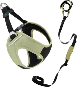 Gooby Escape Free Easy Fit Plus Harness and Wristband Surfer Leash with Traffic Handle Set-Portland Green, Small, 6 FT-Secure Harness and Handsfree Leash with Dual Handle for Small and Medium Dog