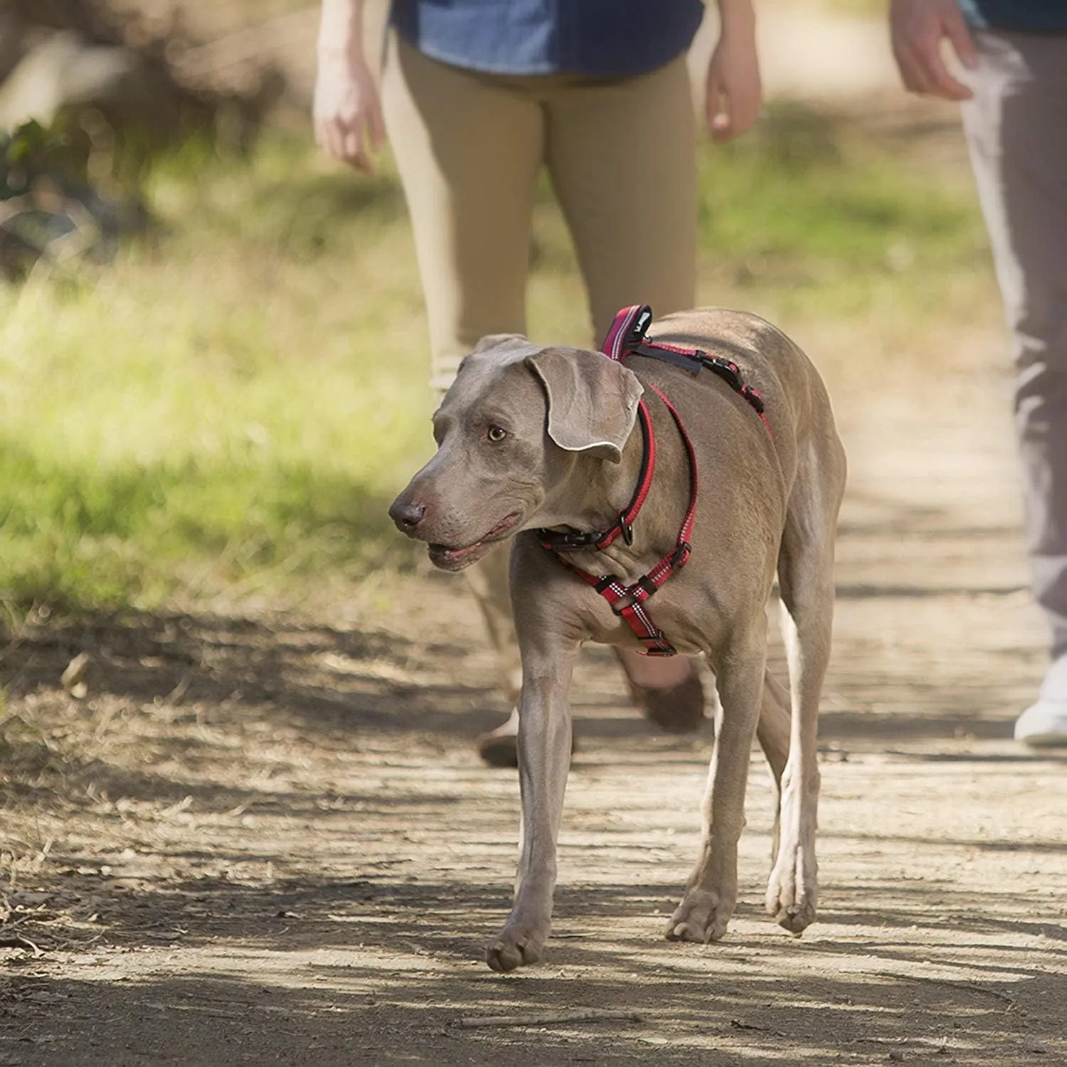 HALTI Walking Harness - Lightweight Dog Harness with Handle, Reflective & Adjustable, Ideal for Puppy Walks, Suitable for Large Dogs and Puppies (Size L, Red)